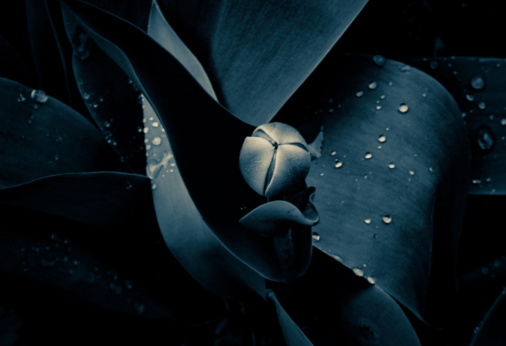 How Do You *Really* Feel? - Karin Eglinton